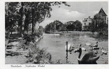 Litho dem 55270 gebraucht kaufen  Kalkar