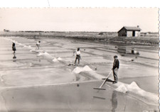 Carte postale ile d'occasion  Vichy