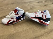 Nike air trainer gebraucht kaufen  Regensburg