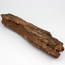 Estate petrified wood for sale  Roselle