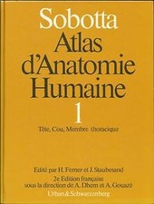 Sobotta atlas danatomie gebraucht kaufen  Berlin