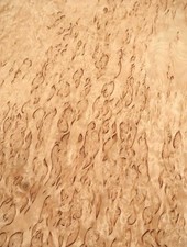 Birke maser holzfurnier gebraucht kaufen  Hamburg