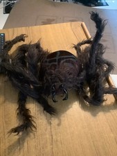 Large spider halloween for sale  PETERBOROUGH