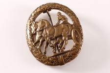 Fahrerabzeichen bronze steinha gebraucht kaufen  Bremen