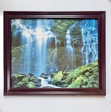 Vtn signed peaceful for sale  Chicopee