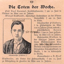 Schachmeister harry nelson gebraucht kaufen  Deutschland