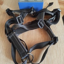 trainingsgeschirr hund gebraucht kaufen trainingsgeschirr hund gebraucht kaufen Buschkämpen