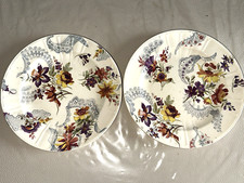 Grandes assiettes plates d'occasion  Fegersheim