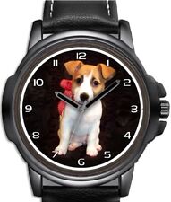 Puppy jack russell for sale  STOCKTON-ON-TEES