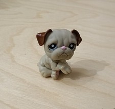 Petshop rare chien d'occasion Petshop rare chien d'occasion  Tours-