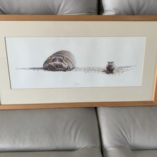 Pebbles signed framed for sale  SLEAFORD