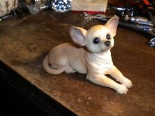 Chihuahua dog detailed for sale  Longmeadow