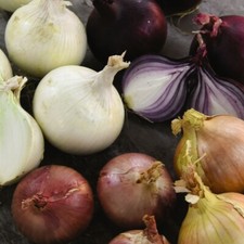 Onion seeds vegetable for sale  IPSWICH