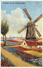 Niederlande AK 1939 – Blumenfelder & Windmühle – gestempelt Amsterdam (1422) comprar usado  Enviando para Brazil