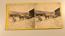 Dog sled team for sale  Marlborough