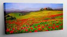 Quadro moderno stampa usato  Alcamo