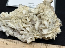 Albite mineral specimen for sale  Camino