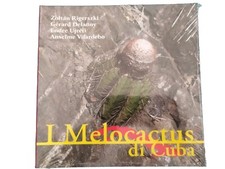 Melocactus cuba rigerszki usato  Italia