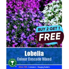 Lobelia colour cascade for sale  MANSFIELD