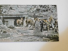 mule train gear for sale mule train gear for sale Hazleton