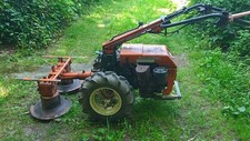 Goldoni jolly 58i gebraucht kaufen  Bad Waldsee