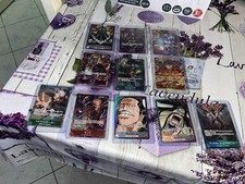 Carte one piece usato  Villa Estense