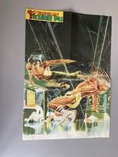 Poster shang chi. usato  Pinerolo