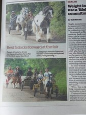 Fab clippings appleby for sale  AYR