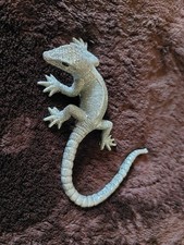 Deko gecko silber gebraucht kaufen  Bitterfeld