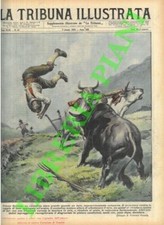 Pisani vittorio presso usato  Italia