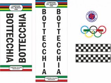 Adesivi telai bottecchia usato  Pordenone