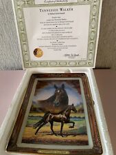 Tennessee walking horse for sale  DERBY