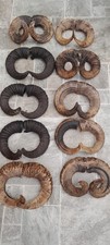 Pairs ram horns for sale  CHIPPENHAM