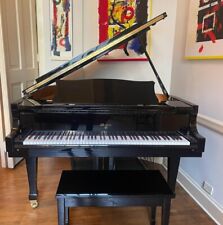 Weber mini grand for sale  New York