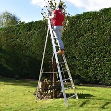 Garden ladder tripod for sale  WARLINGHAM