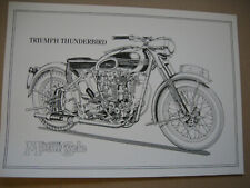 Print triumph thunderbird for sale  TREORCHY