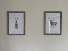Country prints wildlife for sale  CHESTERFIELD