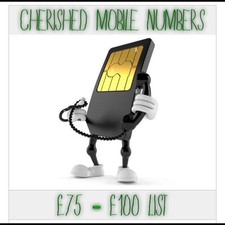 Memorable vip cherished for sale  NEWCASTLE UPON TYNE