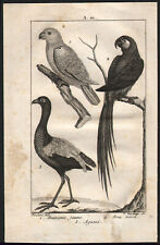 1803 gravure originale d'occasion  Besançon