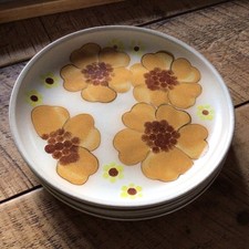 Denby gypsy dinner for sale  STOURPORT-ON-SEVERN