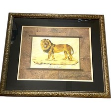 Lion senegal lithograph for sale  Fort Recovery