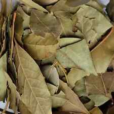 Dried bay leaves for sale  MAIDSTONE