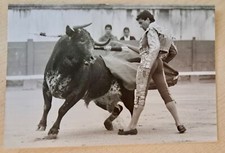 Torero corrida tauromachie d'occasion  Remoulins