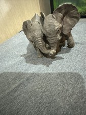 Tuskers elephants mathew for sale  PRESTON
