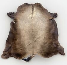 Buffalo hide rug for sale  Colorado Springs