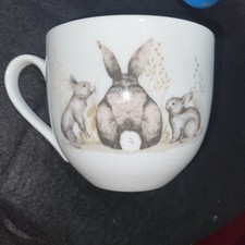 Jumbo rabbit bunny for sale Jumbo rabbit bunny for sale  HARLOW