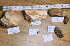 Dinosaur fossil collection for sale  SOLIHULL