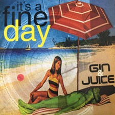 Gin juice fine gebraucht kaufen  Berlin