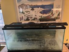 Gallon fish tank for sale  San Fernando