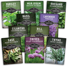 Herb seeds collection for sale  Glen Cove